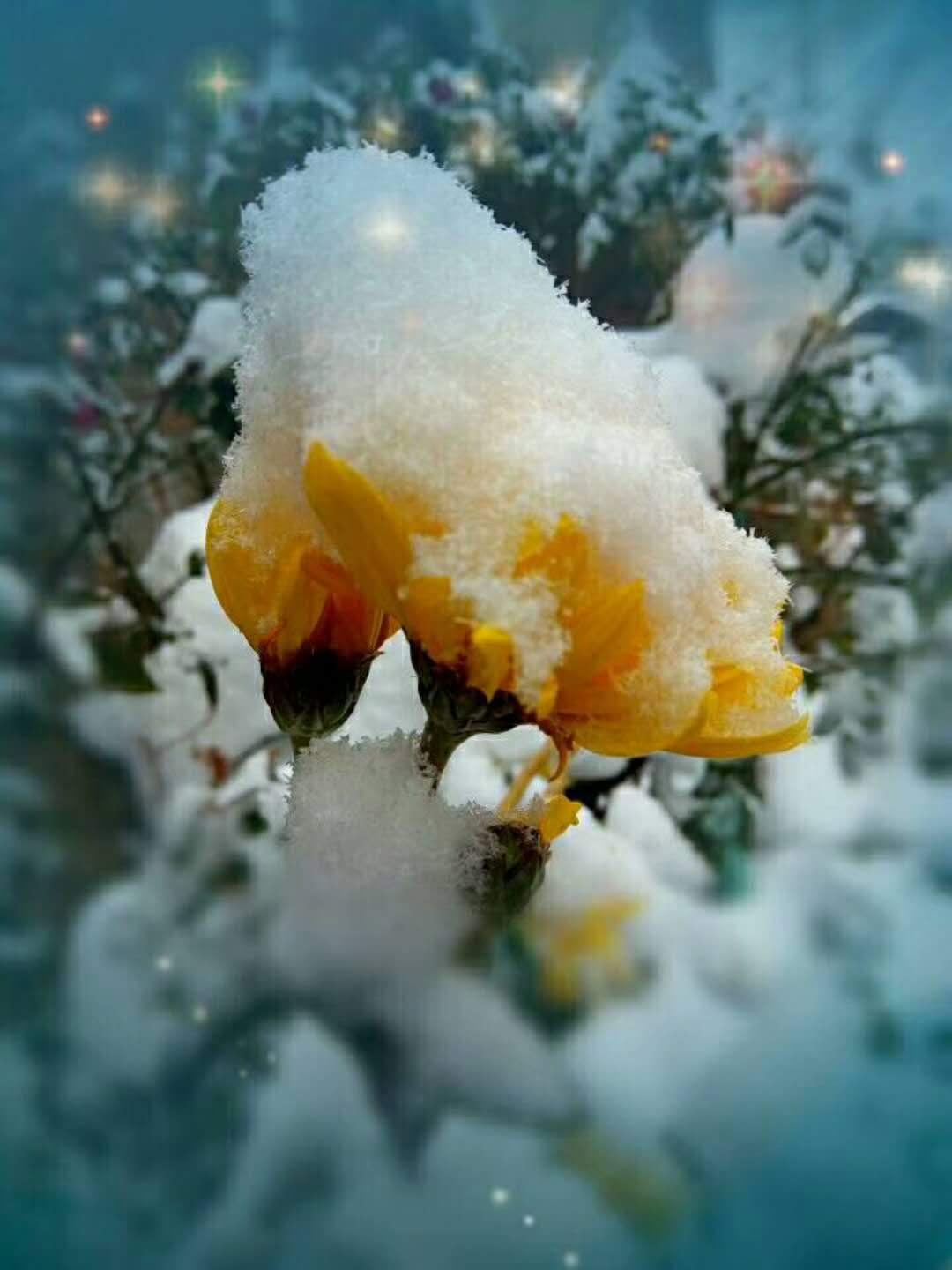 微信图片_20180202171526.jpg