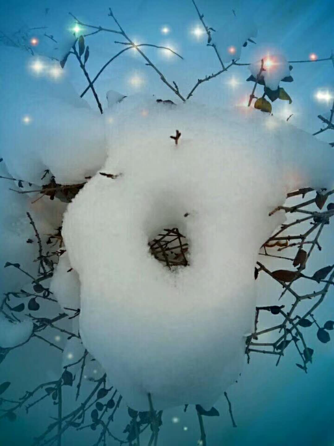 微信图片_20180202171607.jpg