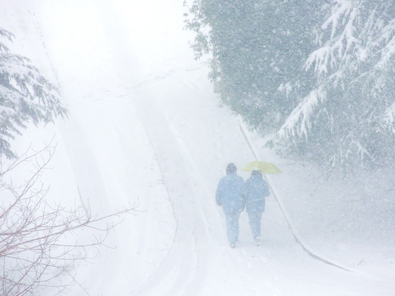 雪花飘，