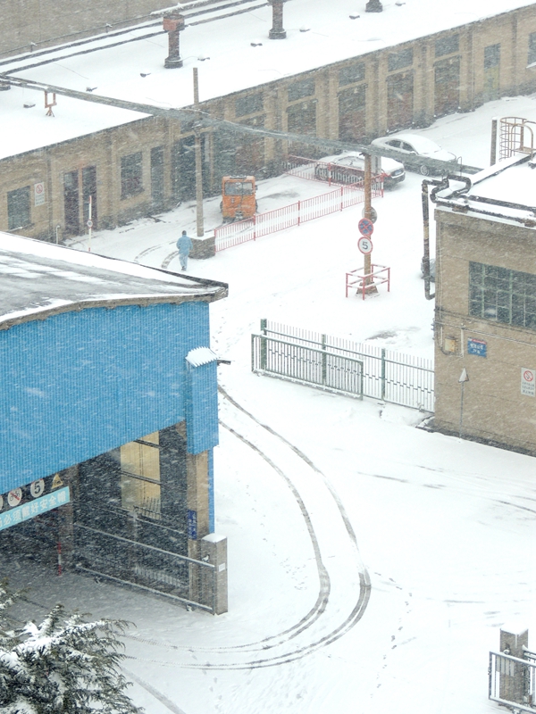 暴雪