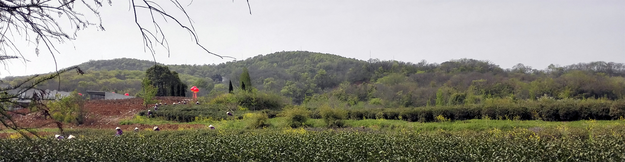 捺山.jpg