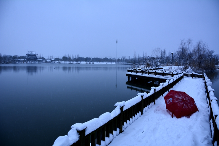 _DSC5659.JPG