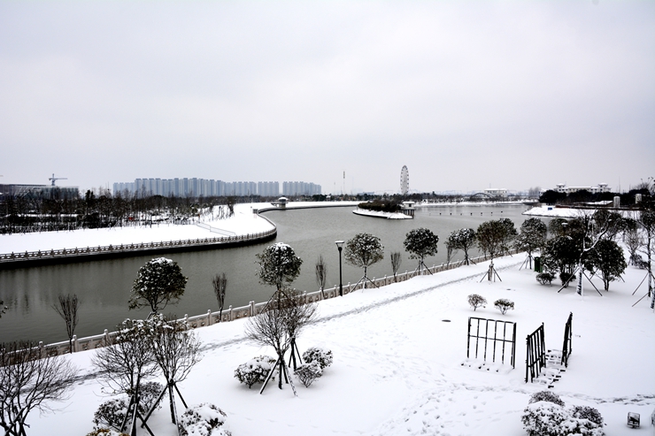_DSC5700.JPG