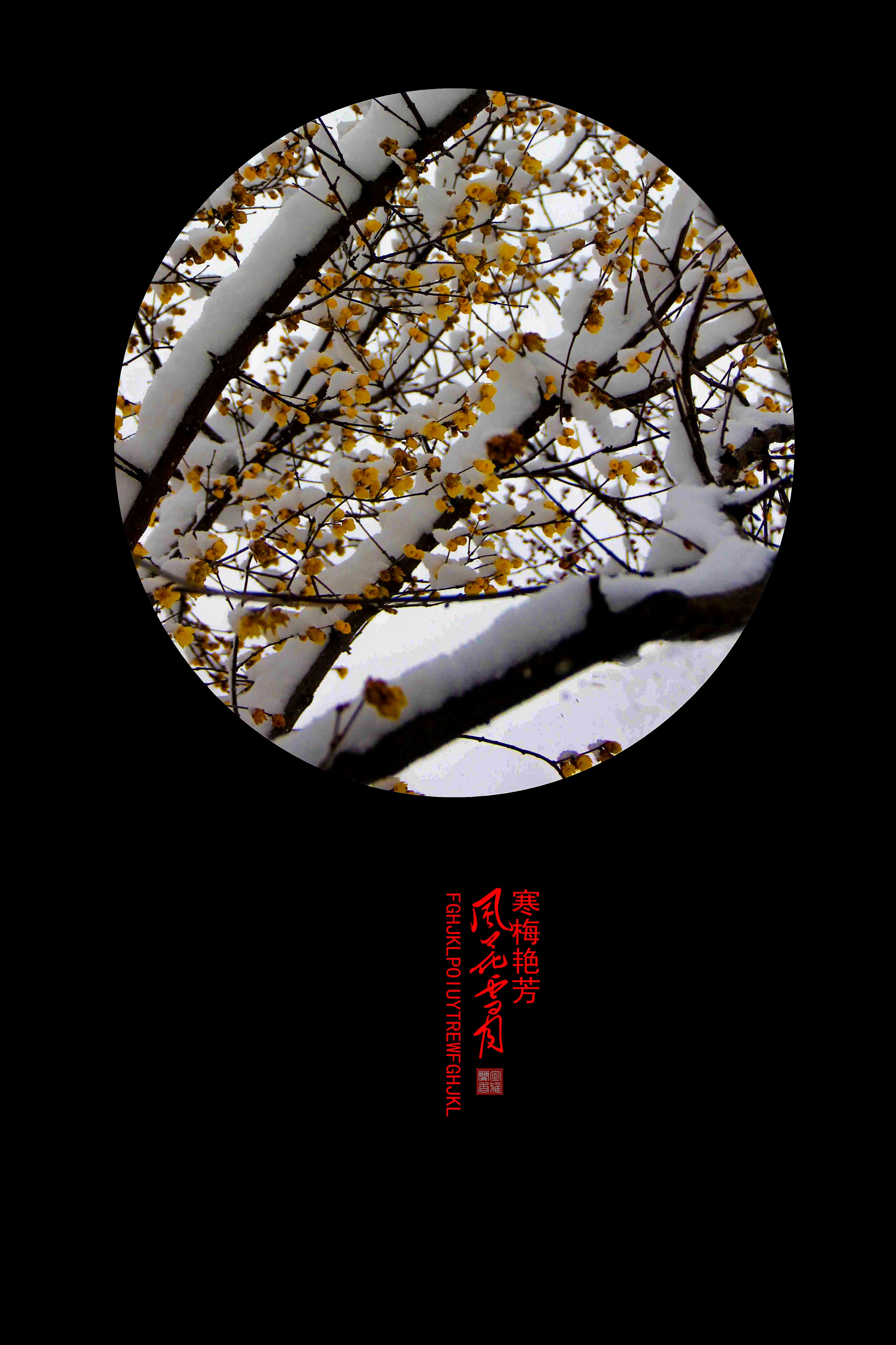 IMG_4583_副本22.jpg