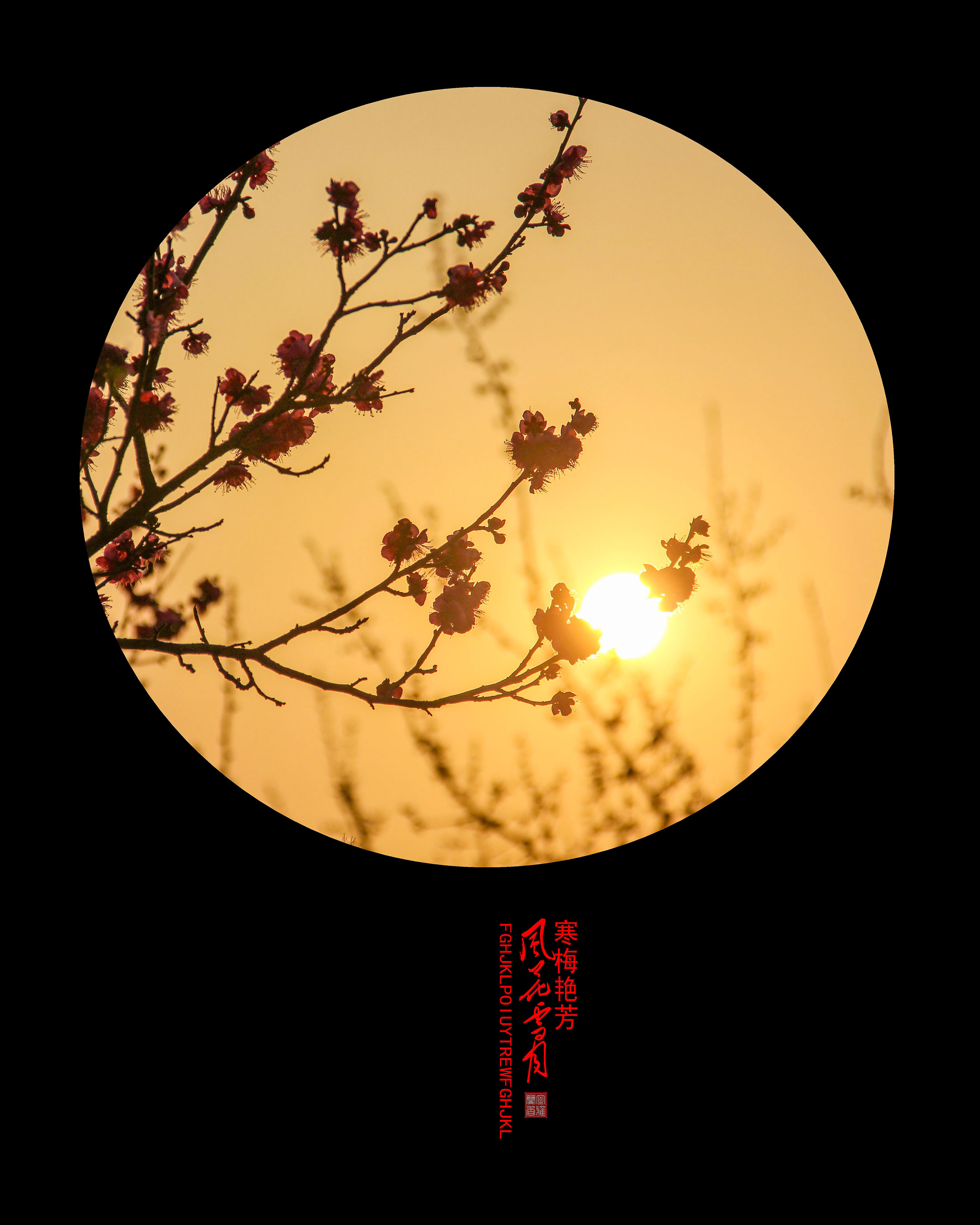 IMG_5992-_副本m-oo.jpg