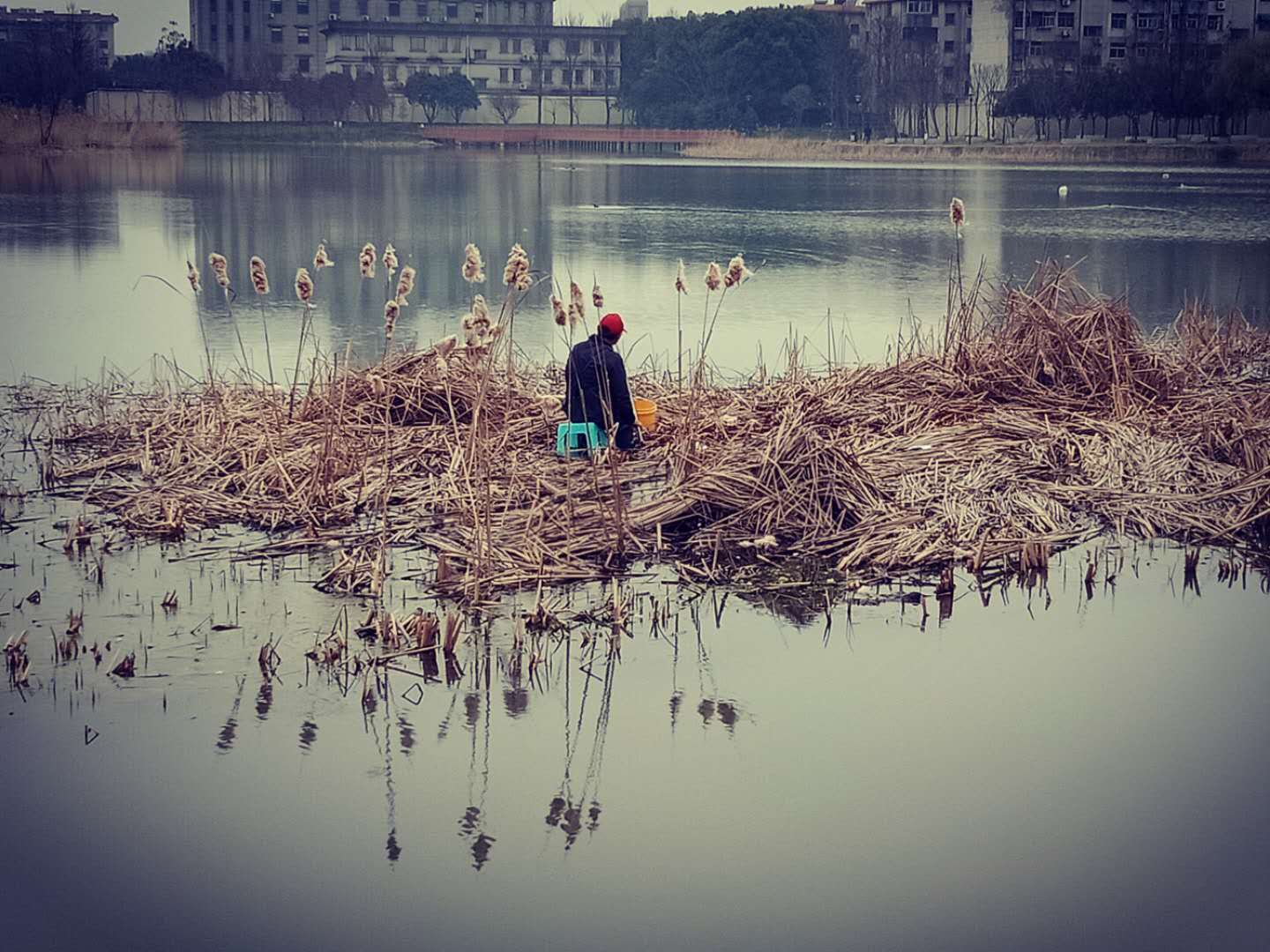 姜太公2