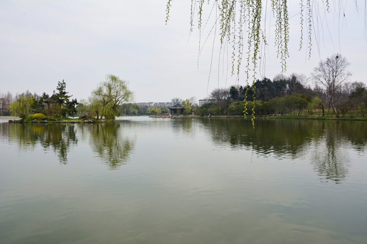 _DSC7469.JPG
