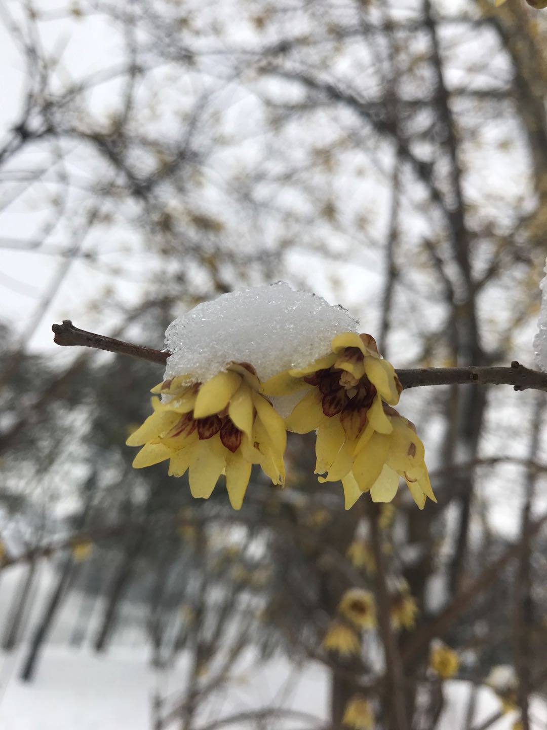 微信图片_20180320100319.jpg