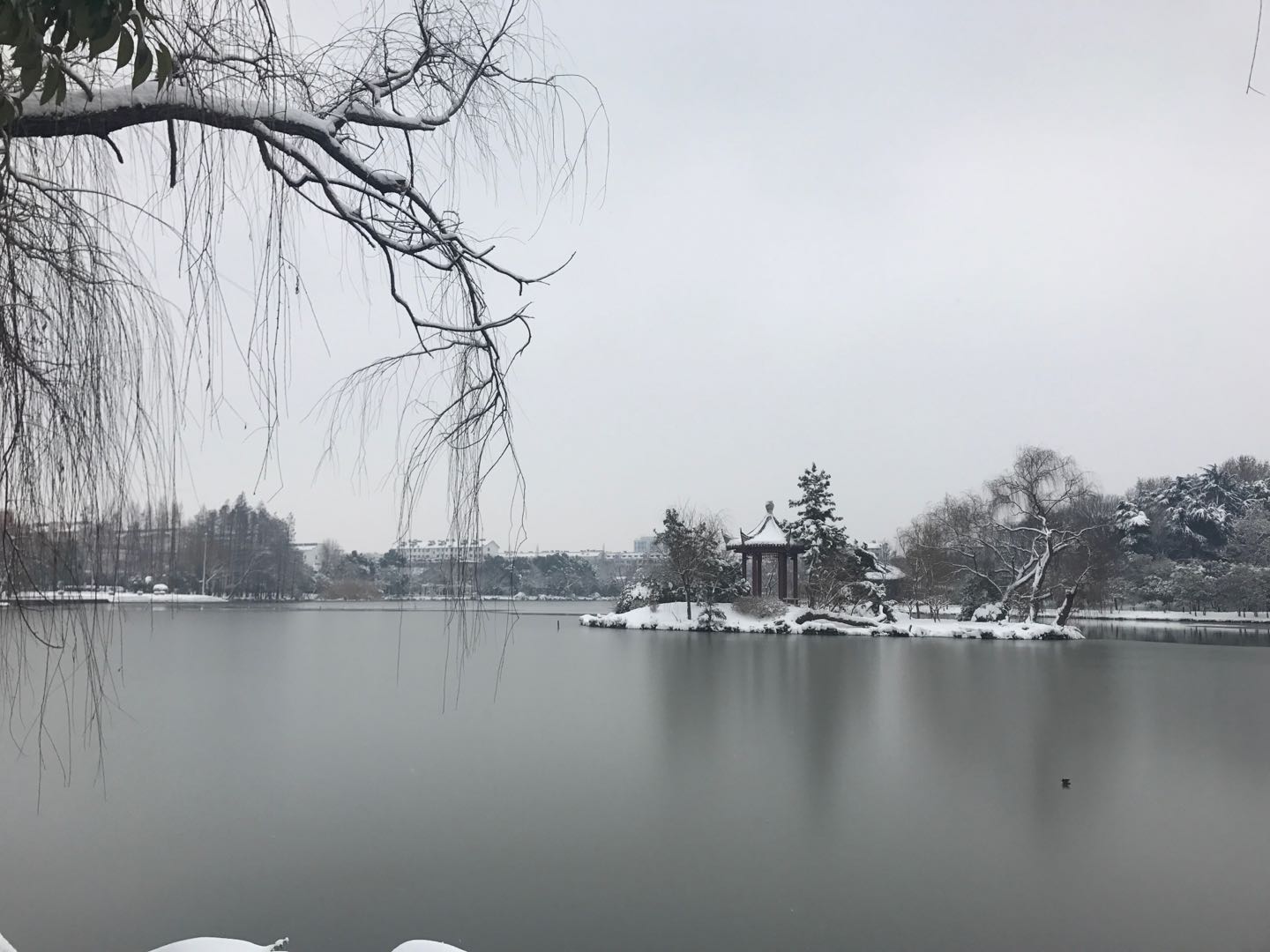 微信图片_20180320100355.jpg