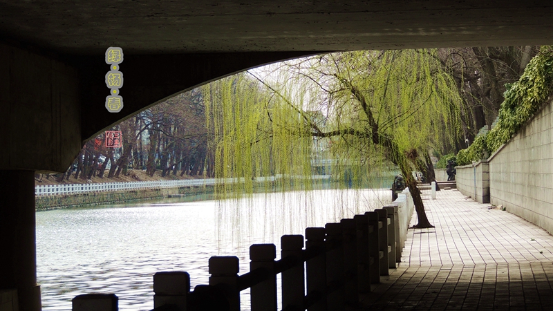 A01.jpg