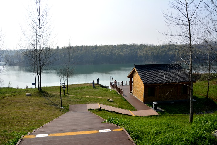 _DSC8072.JPG