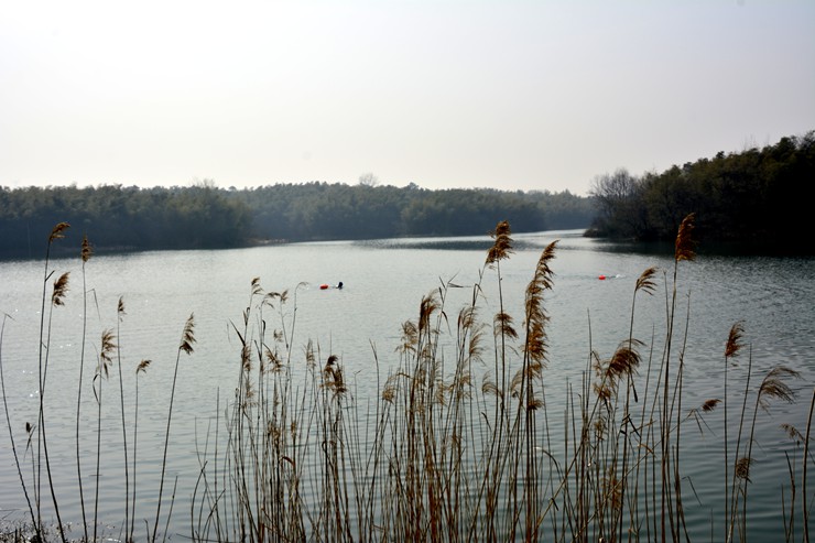 _DSC8080.JPG