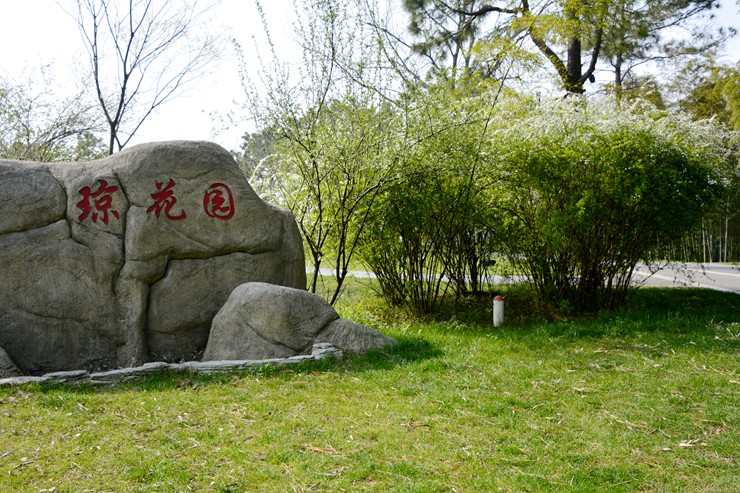 _DSC8086.JPG