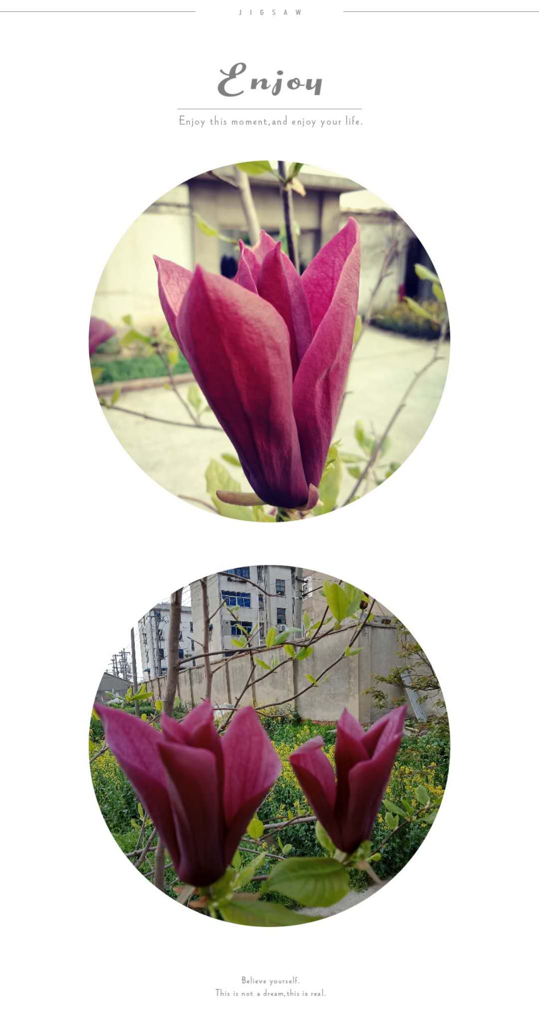 微信图片_20180329161553.jpg