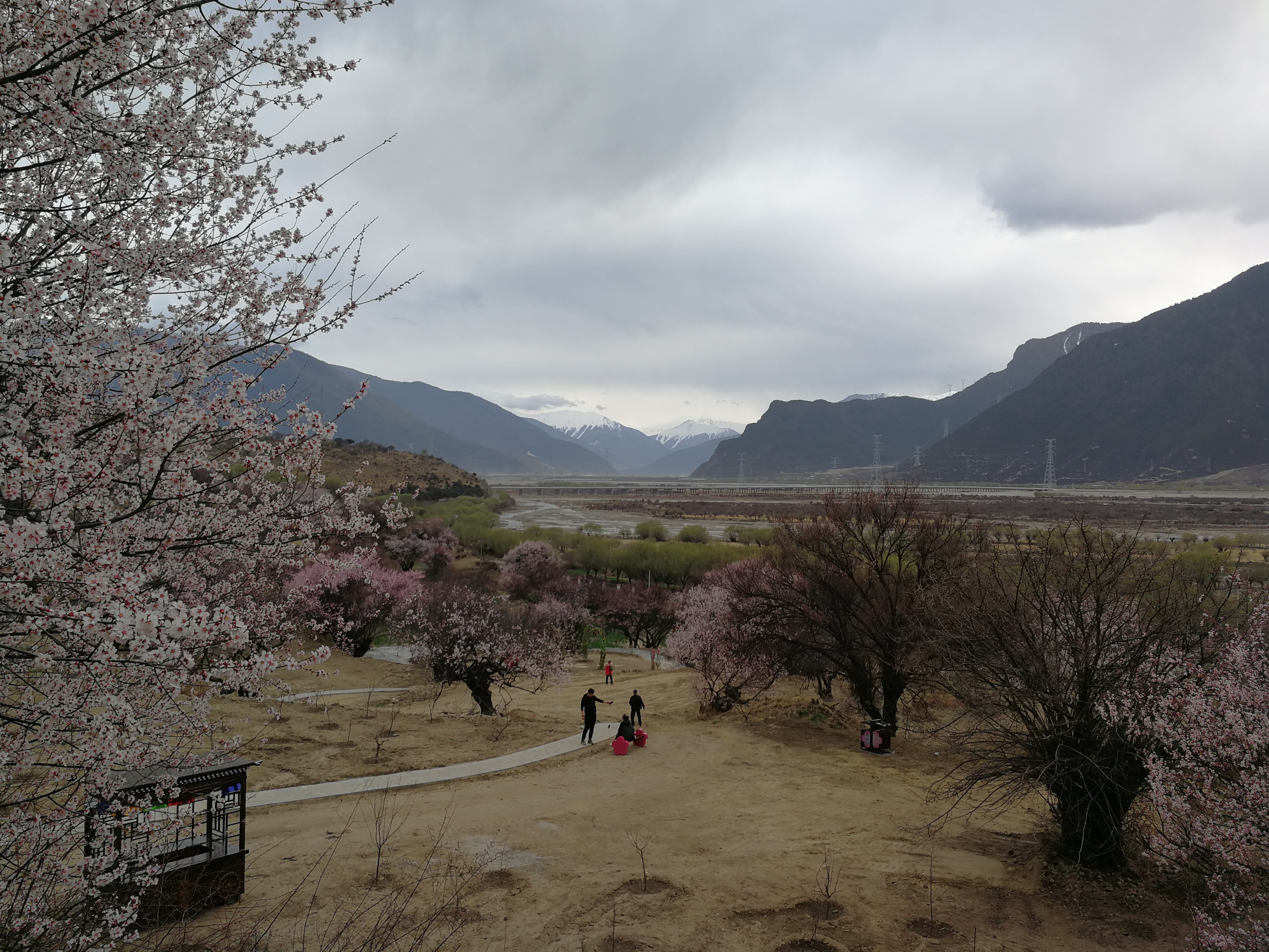 2嘎拉桃花村.jpg