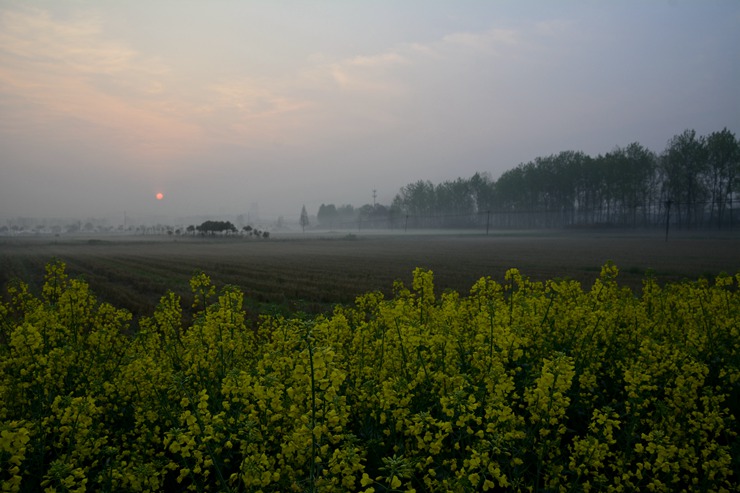 _DSC8454.JPG