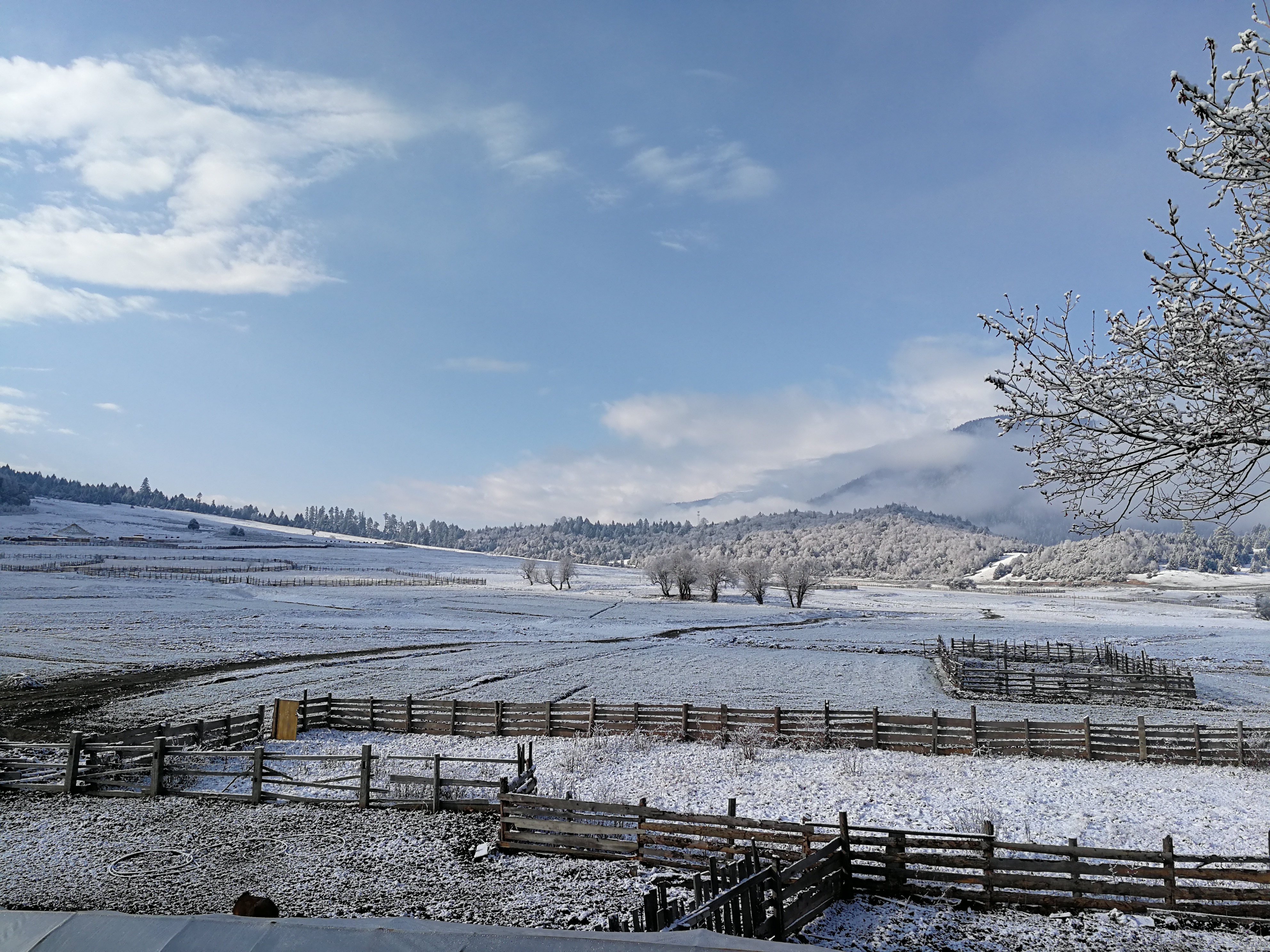 4雪景1.jpg