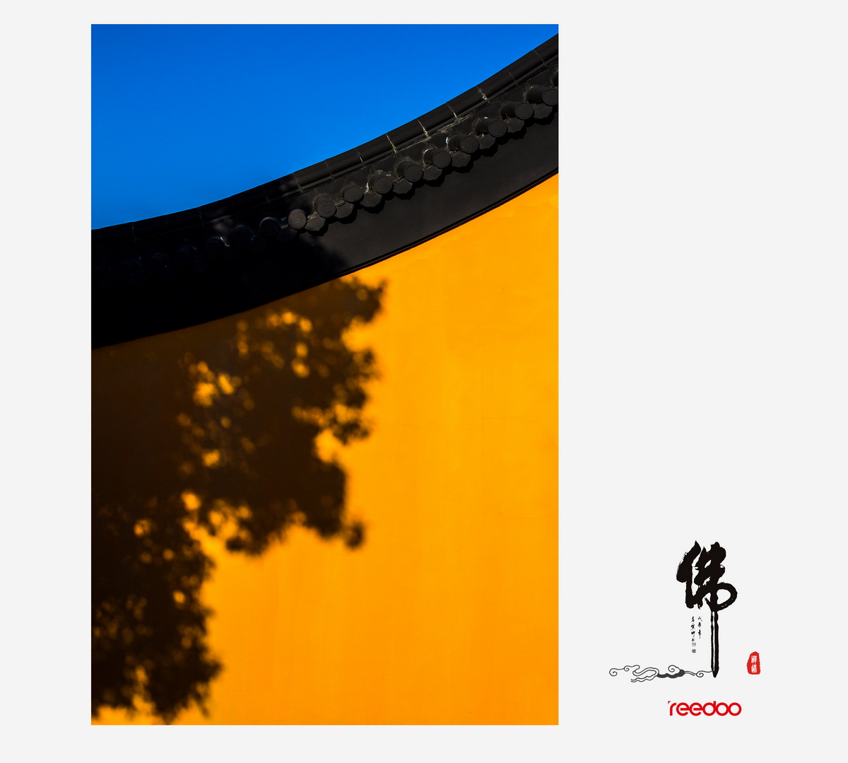 11_调整大小.jpg