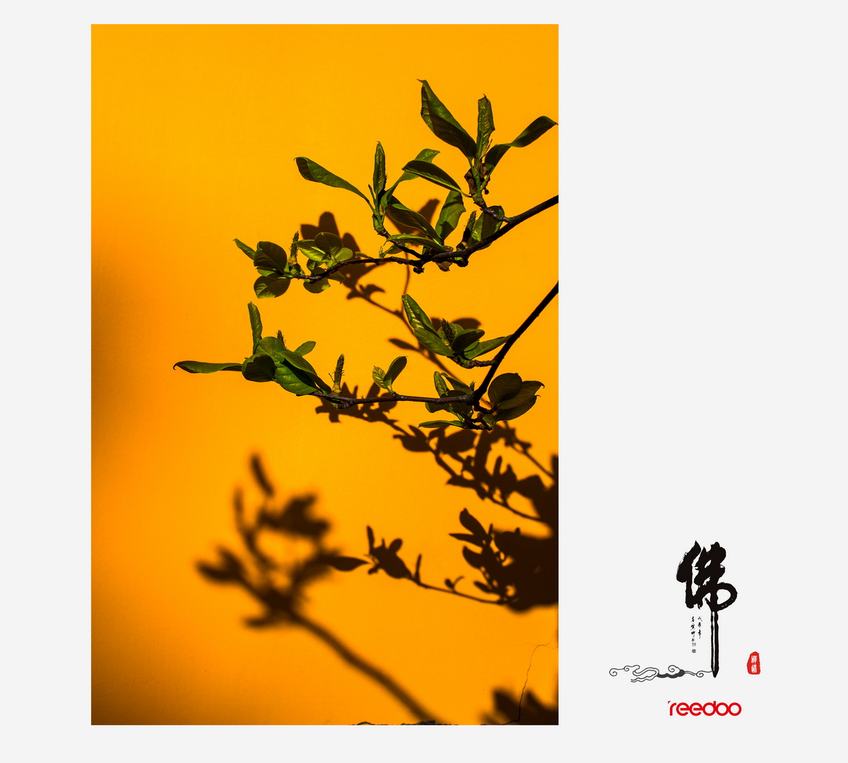 12_调整大小.jpg