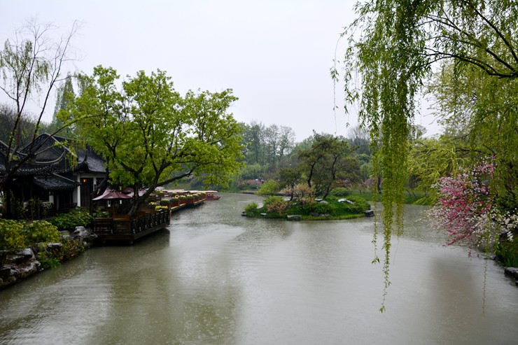 _DSC8900.JPG