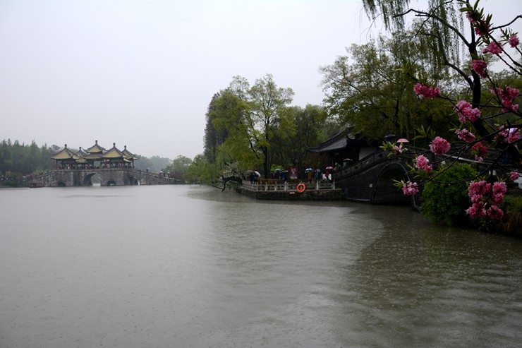 _DSC8904.JPG