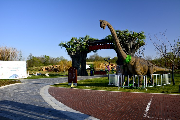 _DSC9035.JPG