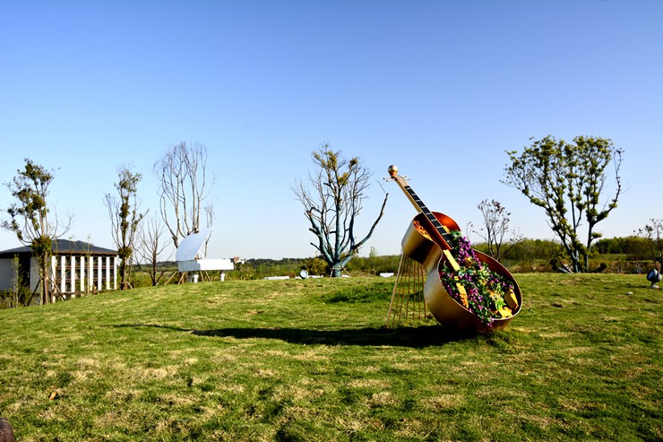 _DSC9039.JPG