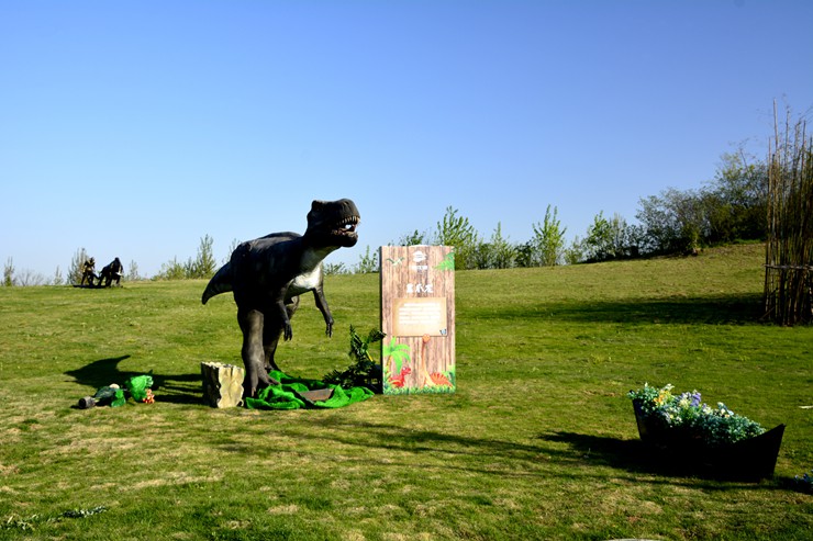 _DSC9044.JPG
