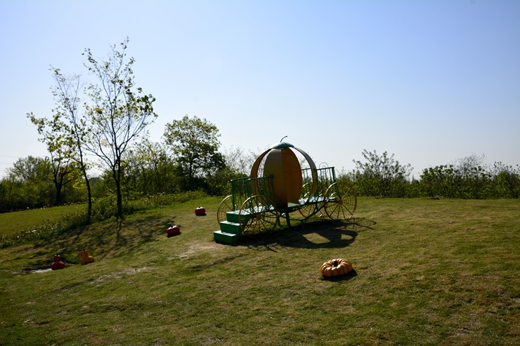 _DSC9063.JPG