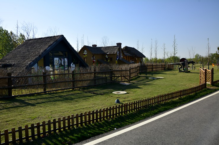 _DSC9055.JPG