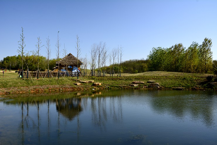 _DSC9066.JPG