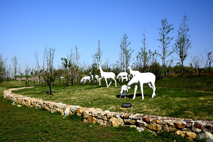 _DSC9068.JPG