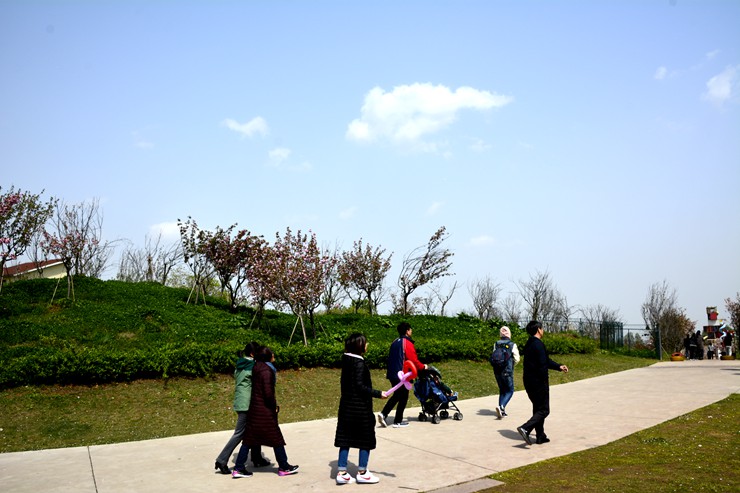 _DSC8960.JPG