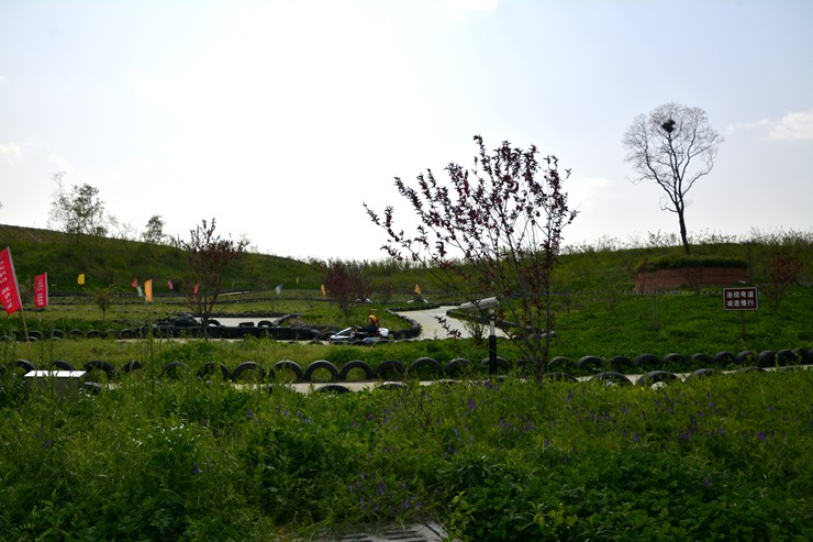 _DSC8994.JPG