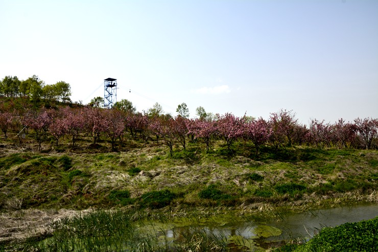 _DSC9014.JPG