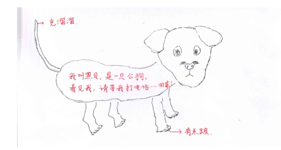 QQ截图20180411145921.png