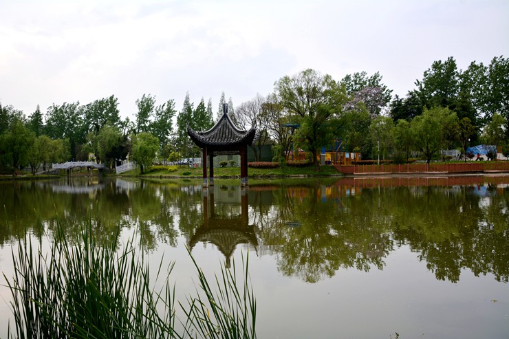 _DSC9158.JPG