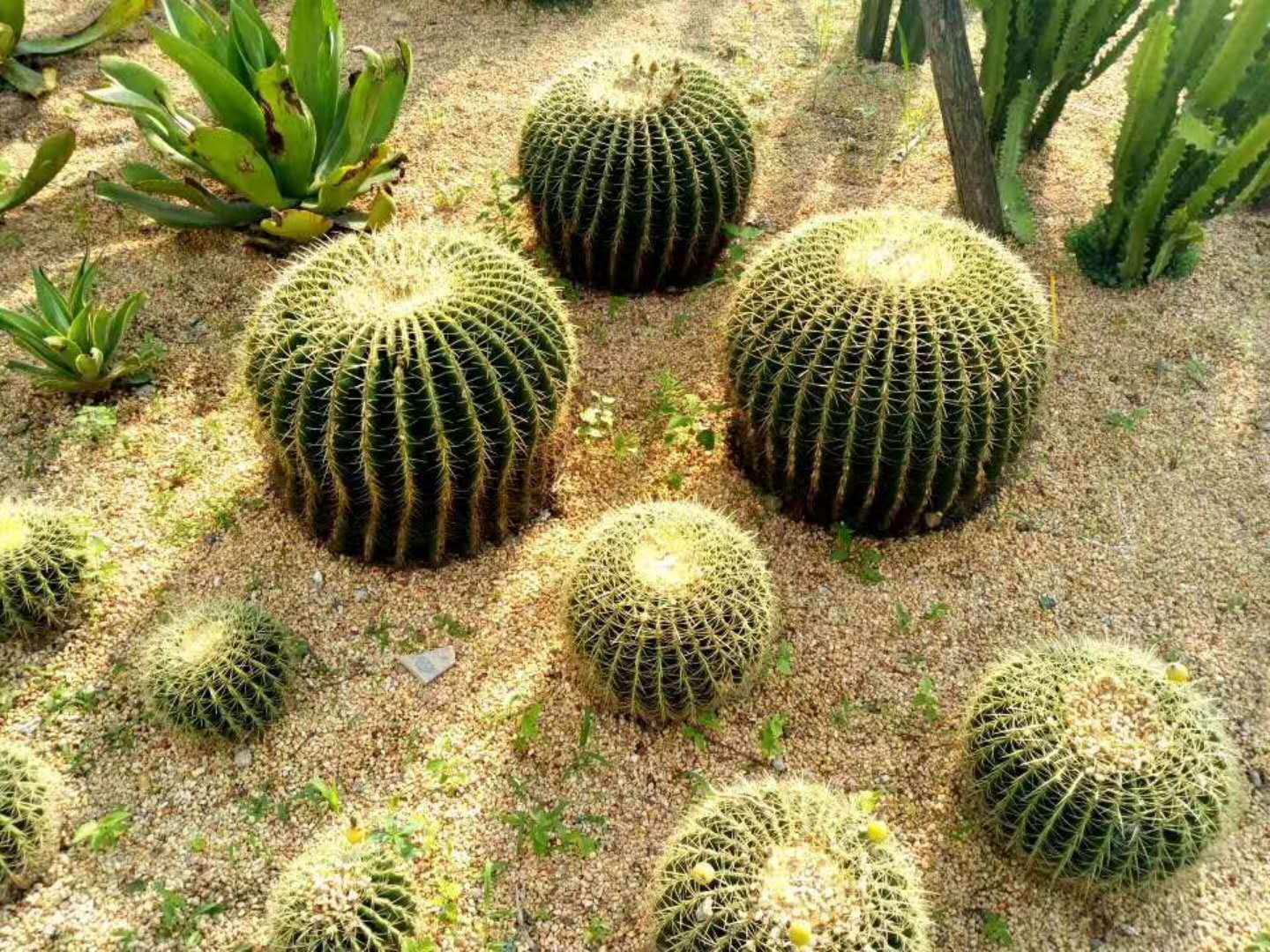 微信图片_20180416152225.jpg