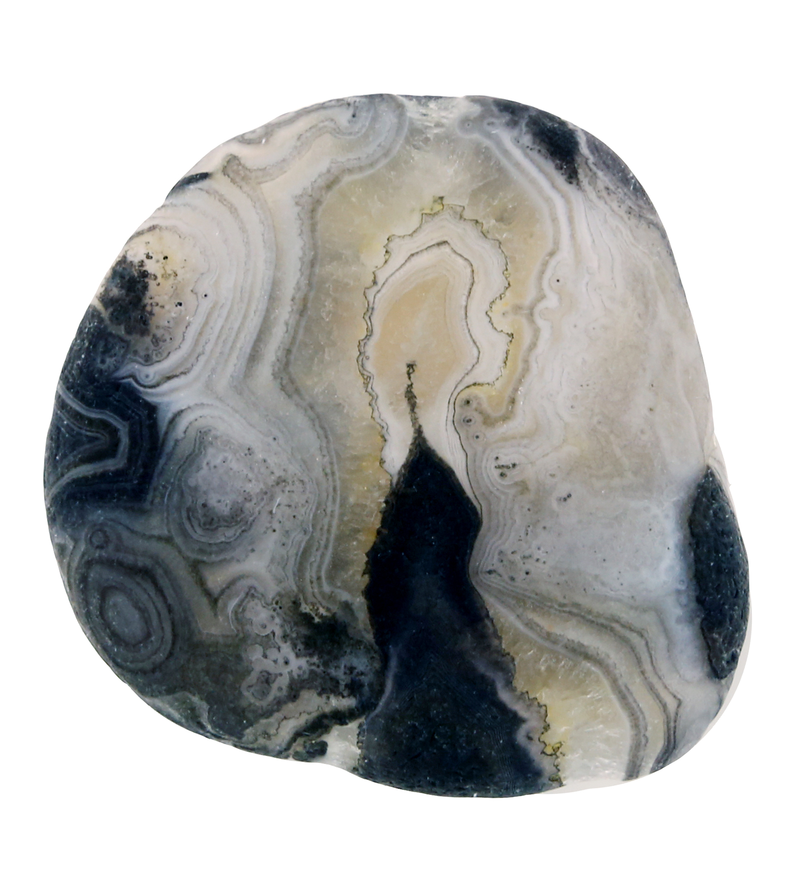 孙修才（悟道）.jpg