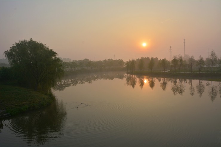 _DSC9842.JPG