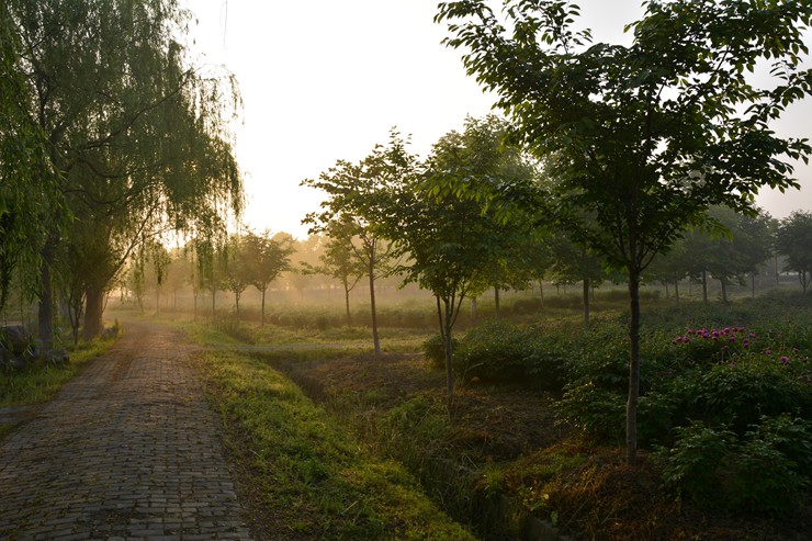 _DSC9869.JPG