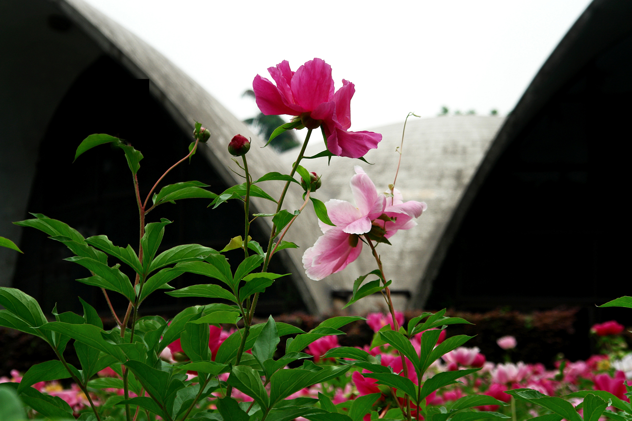 DSC03421.JPG