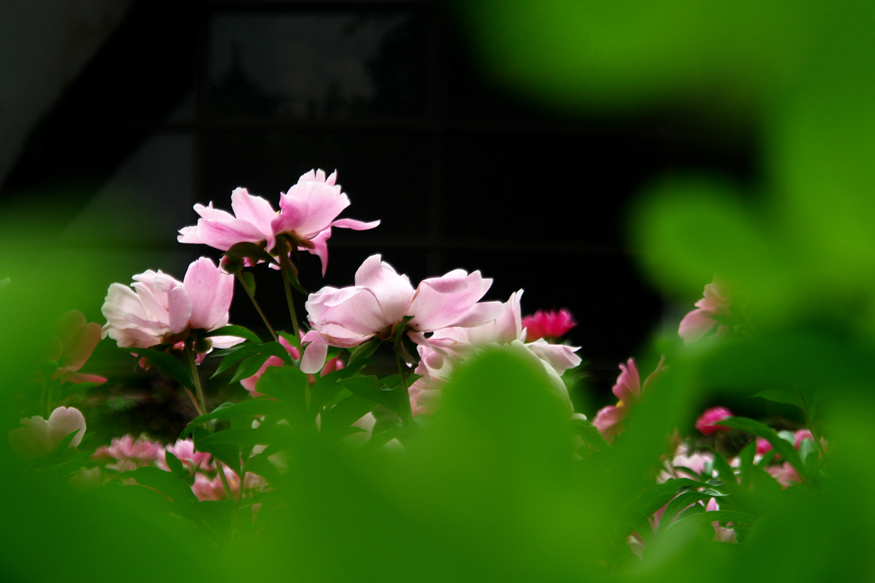 DSC03416.JPG