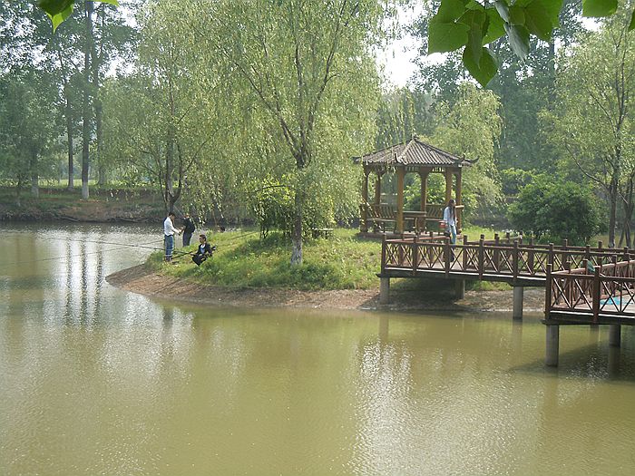 DSCN2340.JPG