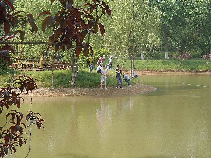 DSCN2353.JPG