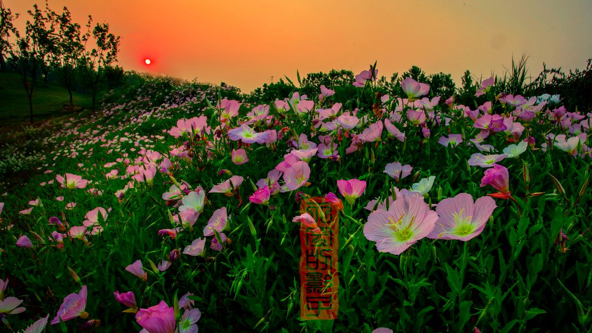 9041s_调整大小_副本.jpg