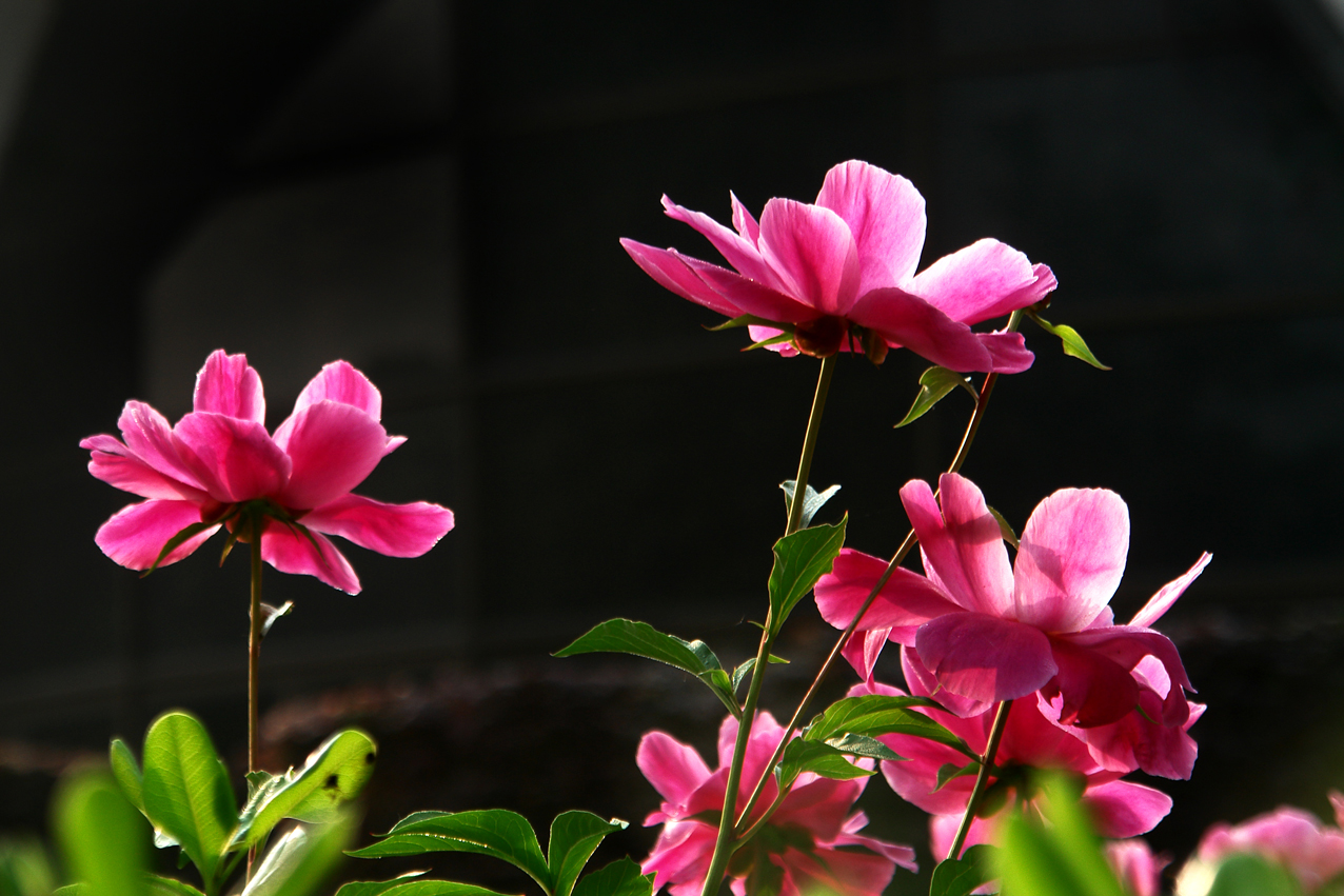 DSC03449.JPG