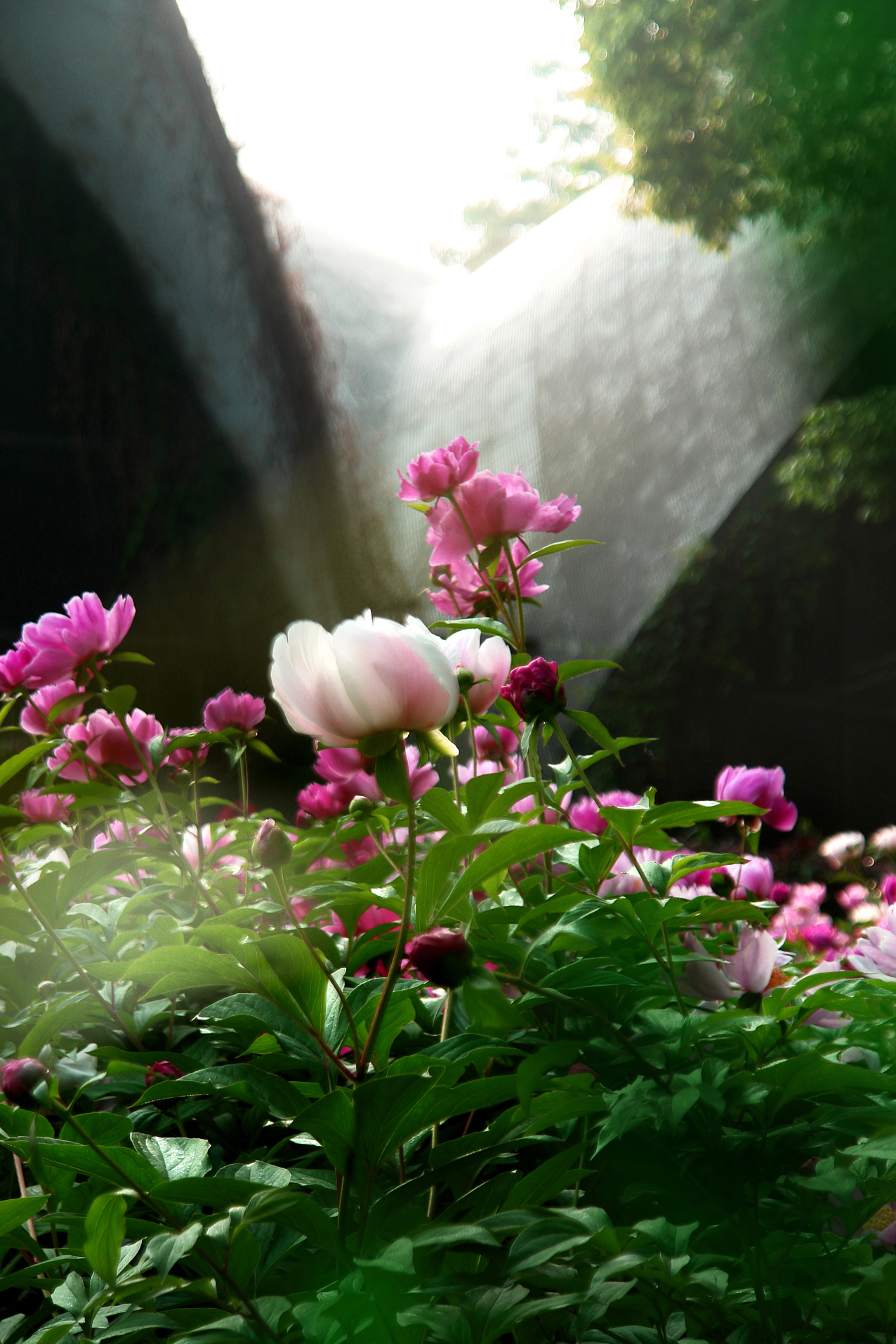 DSC03453.JPG