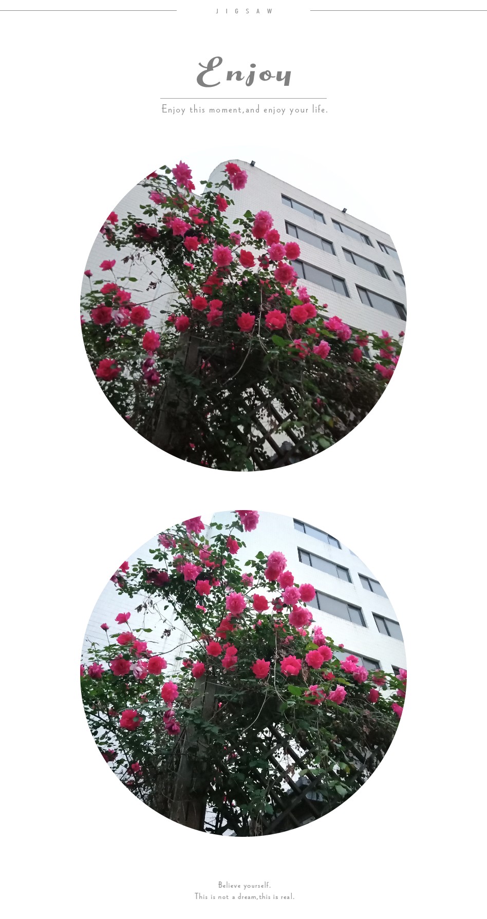 微信图片_20180502165708.jpg
