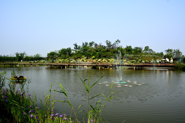 _DSC7000.JPG
